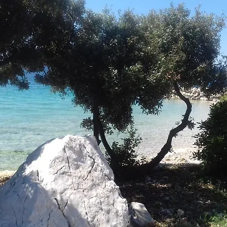 Sime Penzion